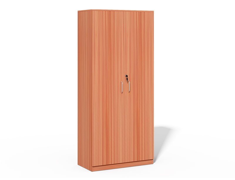 Swing Doors Cabinet